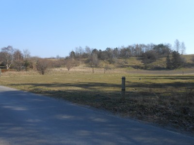 Skuldelev Ås set fra Koholmmosen.