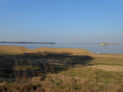 Kølholm hvor man fandt de 5 Skuldelevskibe.